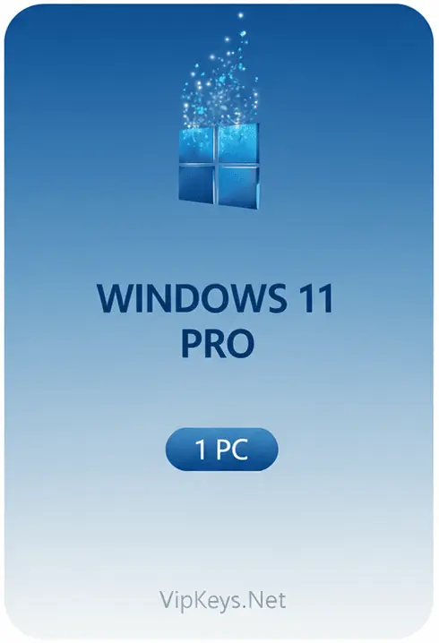 Windows 11 Pro