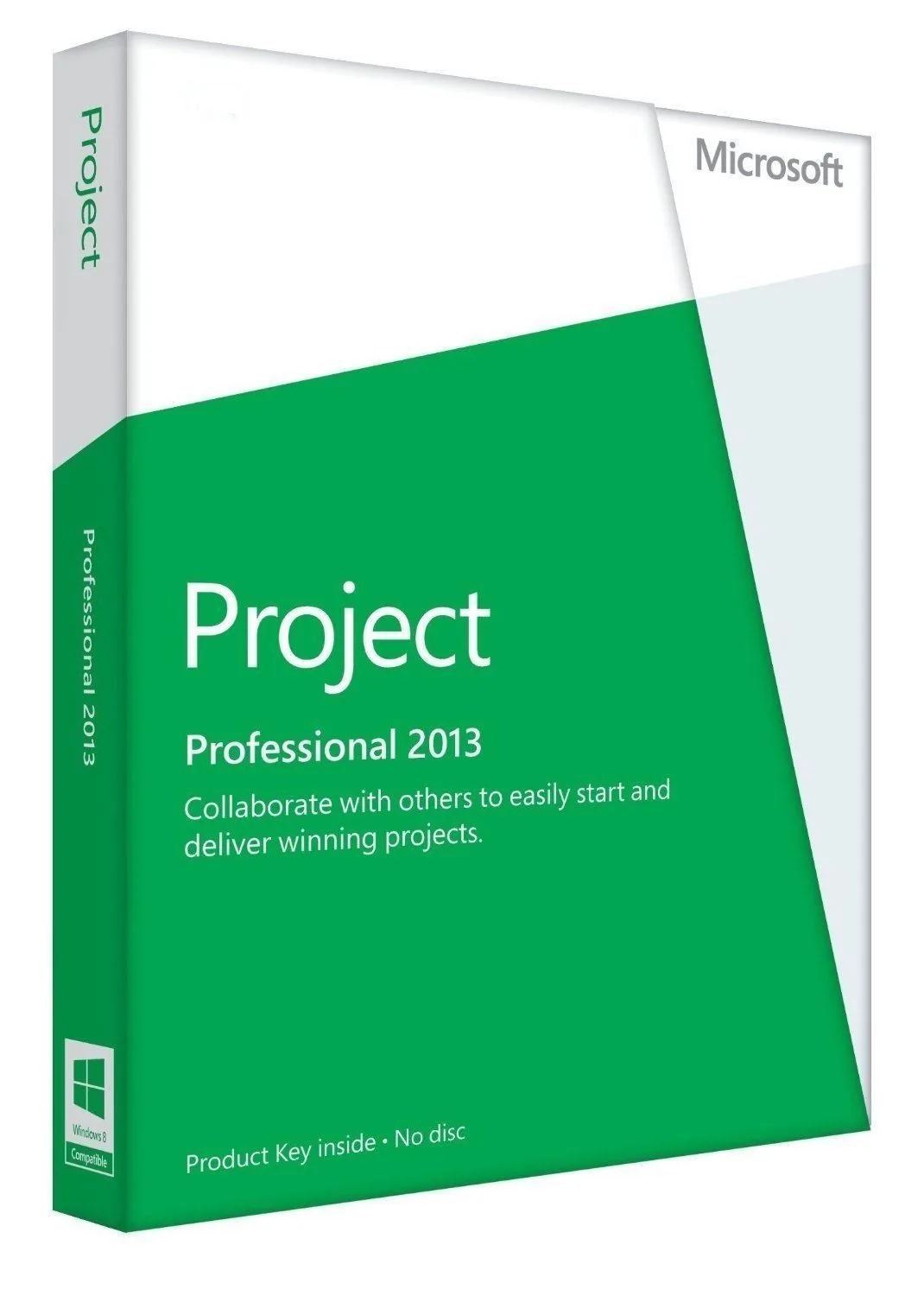 Project Professional 2013