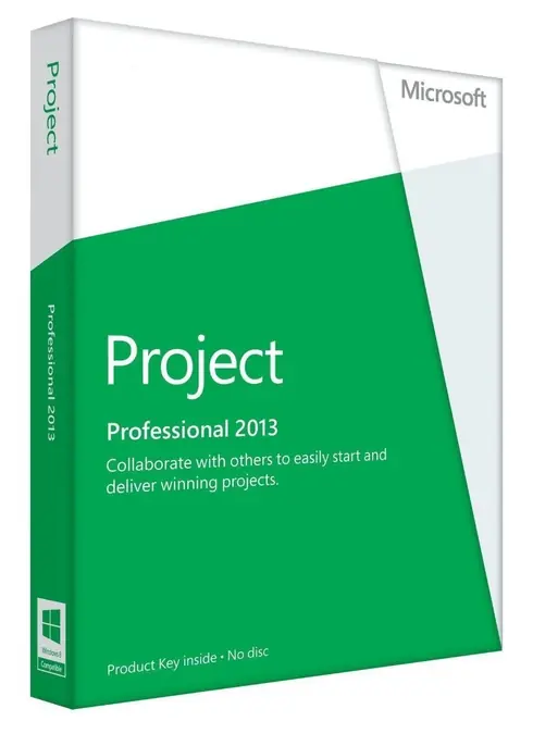 Project Professional 2013