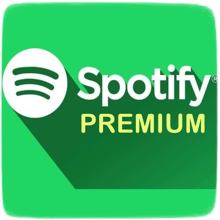 Купить Spotify Premium (Индивидуальная подписка на 12 месяцев) в VipKeys