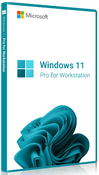 Купить Windows 11 Pro for WorkStations (Pro для рабочих станций) в VipKeys