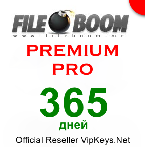 FileBoom.Me Premium PRO 365 дней